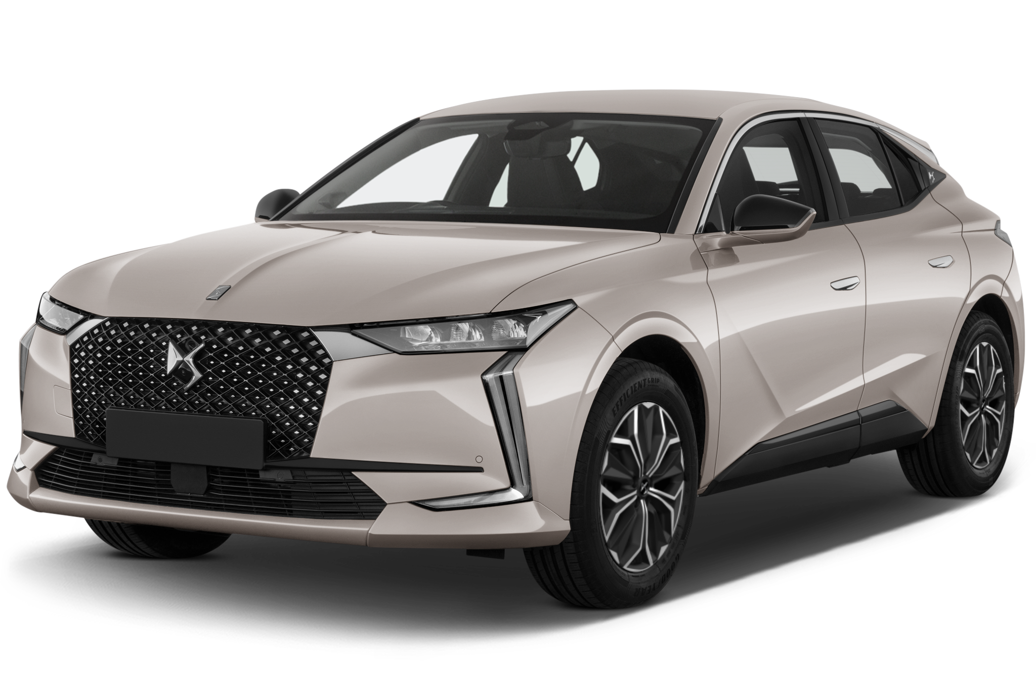 DS4 Angular Front