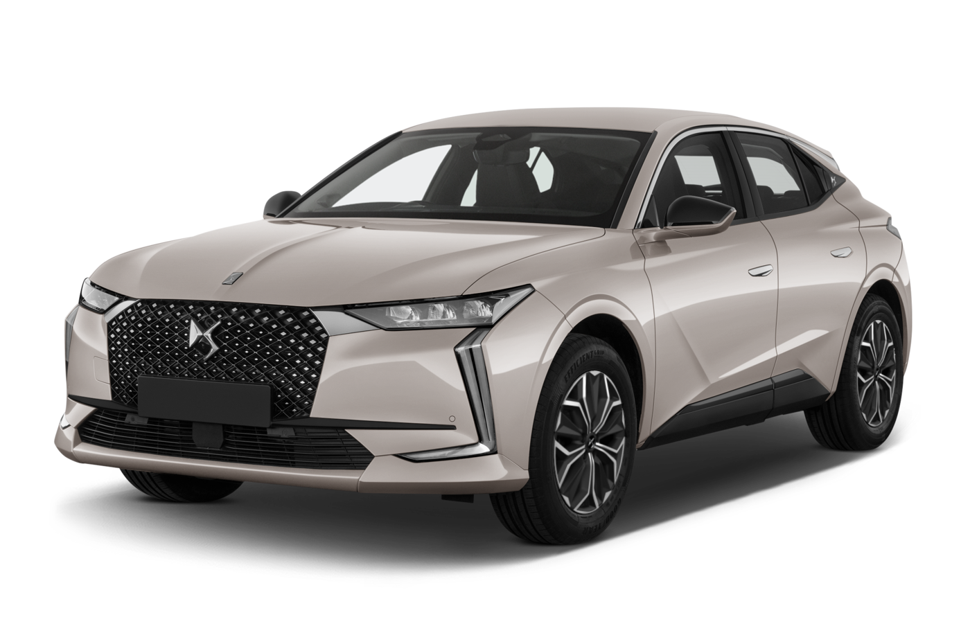 DS4 Angular Front